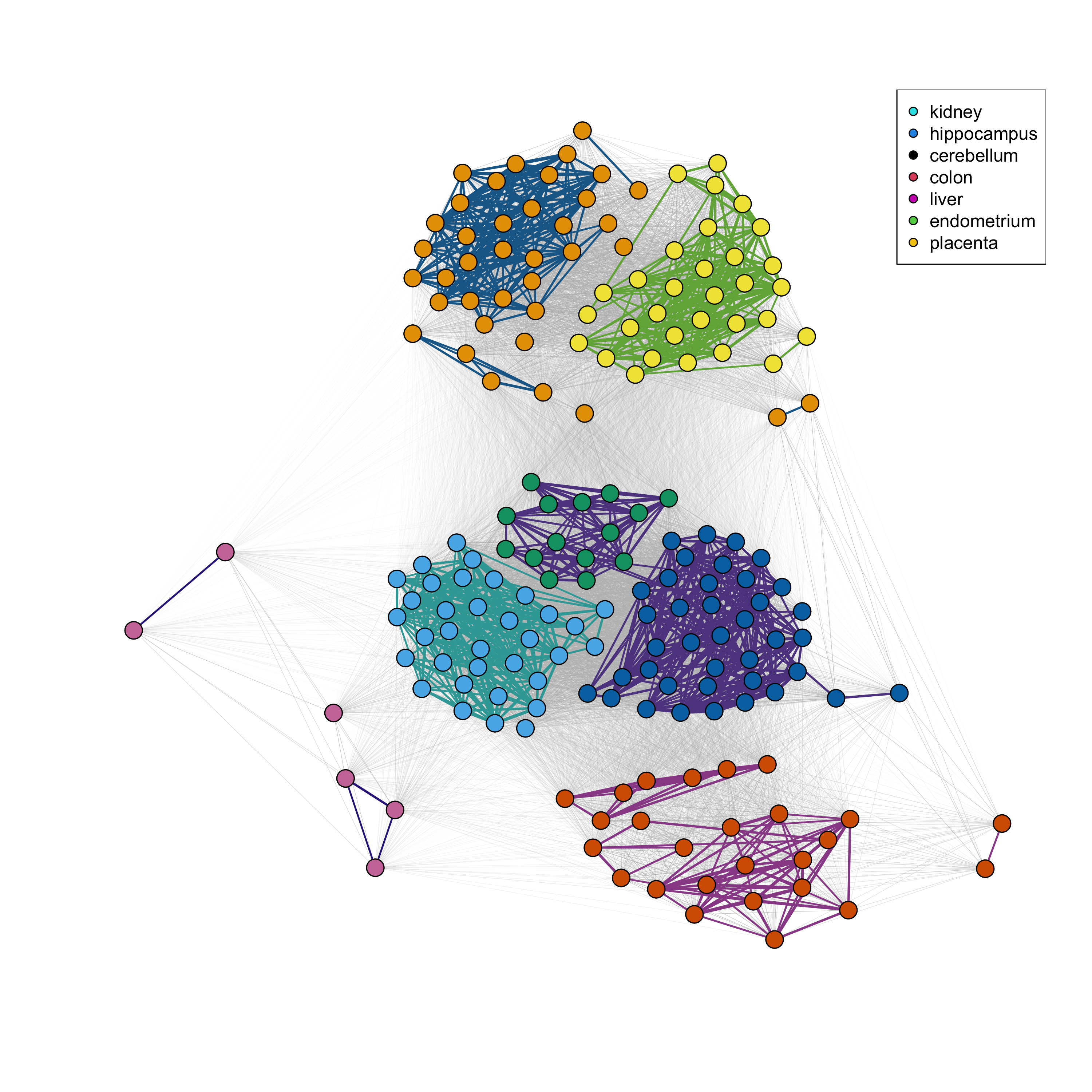 Figure 6: Community cluster network for the tissue data. The line colors indicate the PaLD communities; the point colors indicate the tissue classification.
