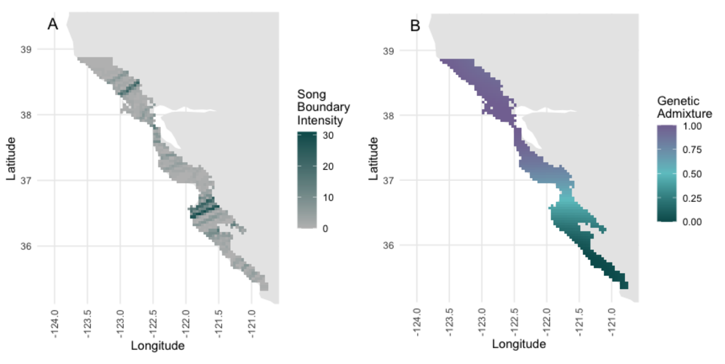 Two maps of the coast of California, centered near the San Francisco Bay. The land is gray and the ocean is white with gridded lines for latitude and longitude. A strip of coast is colored on both maps. On the left map, dark blue lines run from northeast to southwest, with some lines darker than others. On the right map, there is a gradient of color. The top of the strip of color is purple, then around Monterey Bay (two-thirds of the way south in the colored area), the color becomes light blue, and in the south it is dark blue.