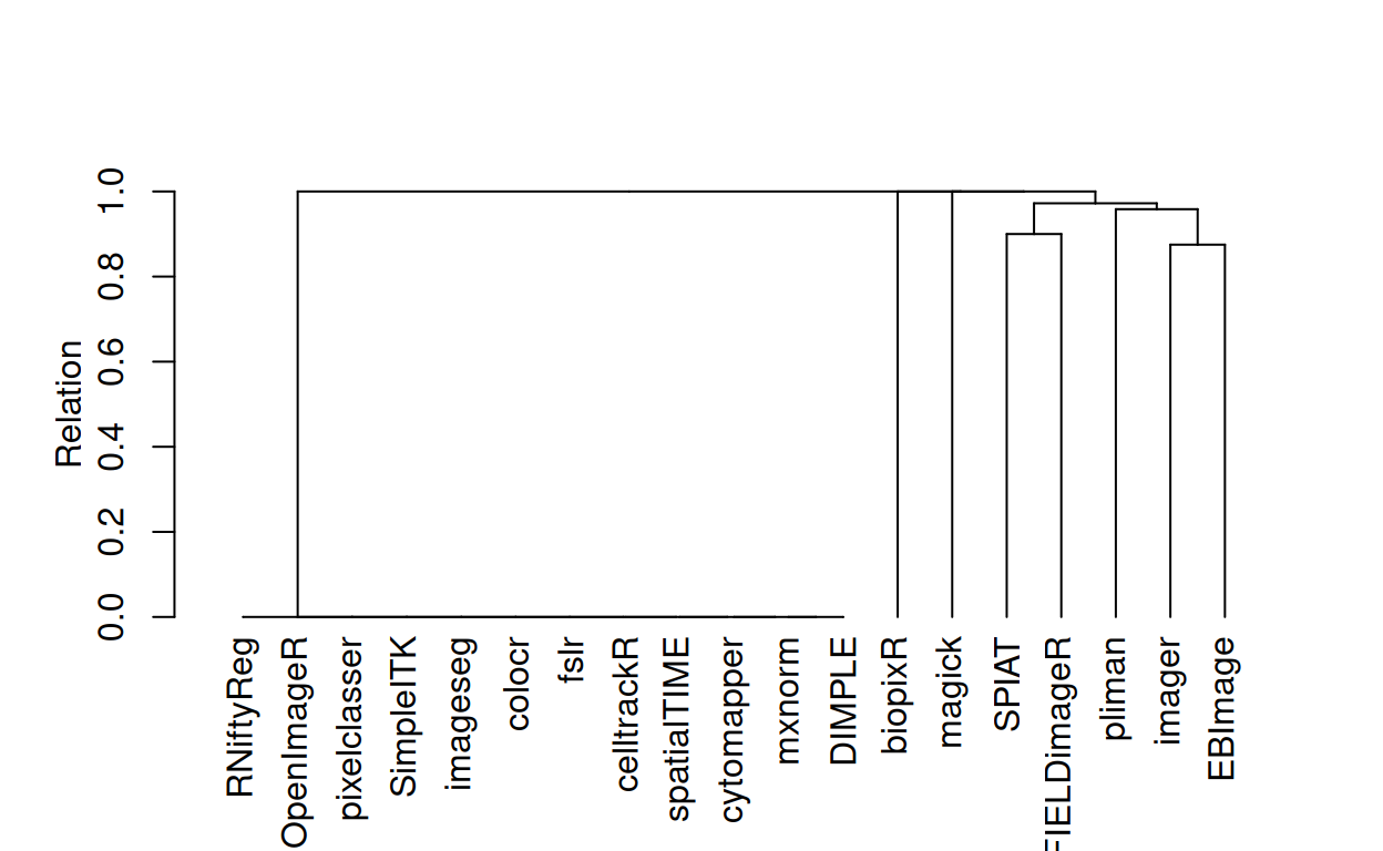 Dendrogram of Hierarchically Clustered Package Dependencies: The dendrogram depicts the outcomes of a hierarchical clustering of various image analysis packages, based on their named dependencies and imports, as extracted from their respective DESCRIPTION files. Each branch represents a distinct package, and the proximity between branches reflects the degree of similarity in their dependencies and imports. The required distance matrix was calculated using the binary method, also known as Jaccard distance. To perform the hierarchical clustering, the complete linkage clustering method was employed (R Core Team 2023).