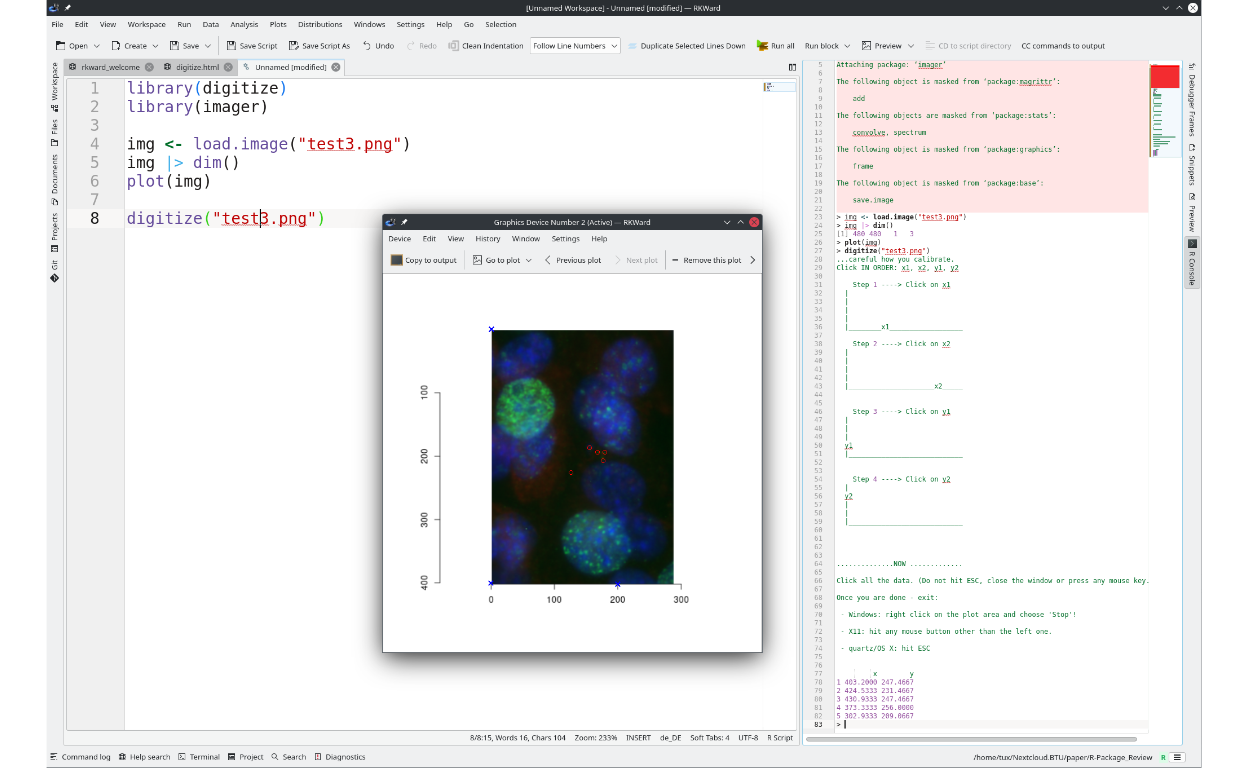 Counting using digitize: The figure provided to digitize, consists of cells with DNA damage (similar to Rödiger et al. (2018)). The nucleus is colored with DAPI (blue) and the \(\gamma\)H2AX histone, a marker for DNA double strand breaks, is stained with a specific antibody. The digitize package is used to interactively extract the coordinates (shown in the console) by using the cursor to define the region of interest (blue cross) and tag the objects within it (red circles). In the screenshot it is displayed how digitize is invoked in RKWard (0.7.5z+0.7.6+devel3, Linux, TUXEDO OS 2, (Rödiger et al. 2012)).