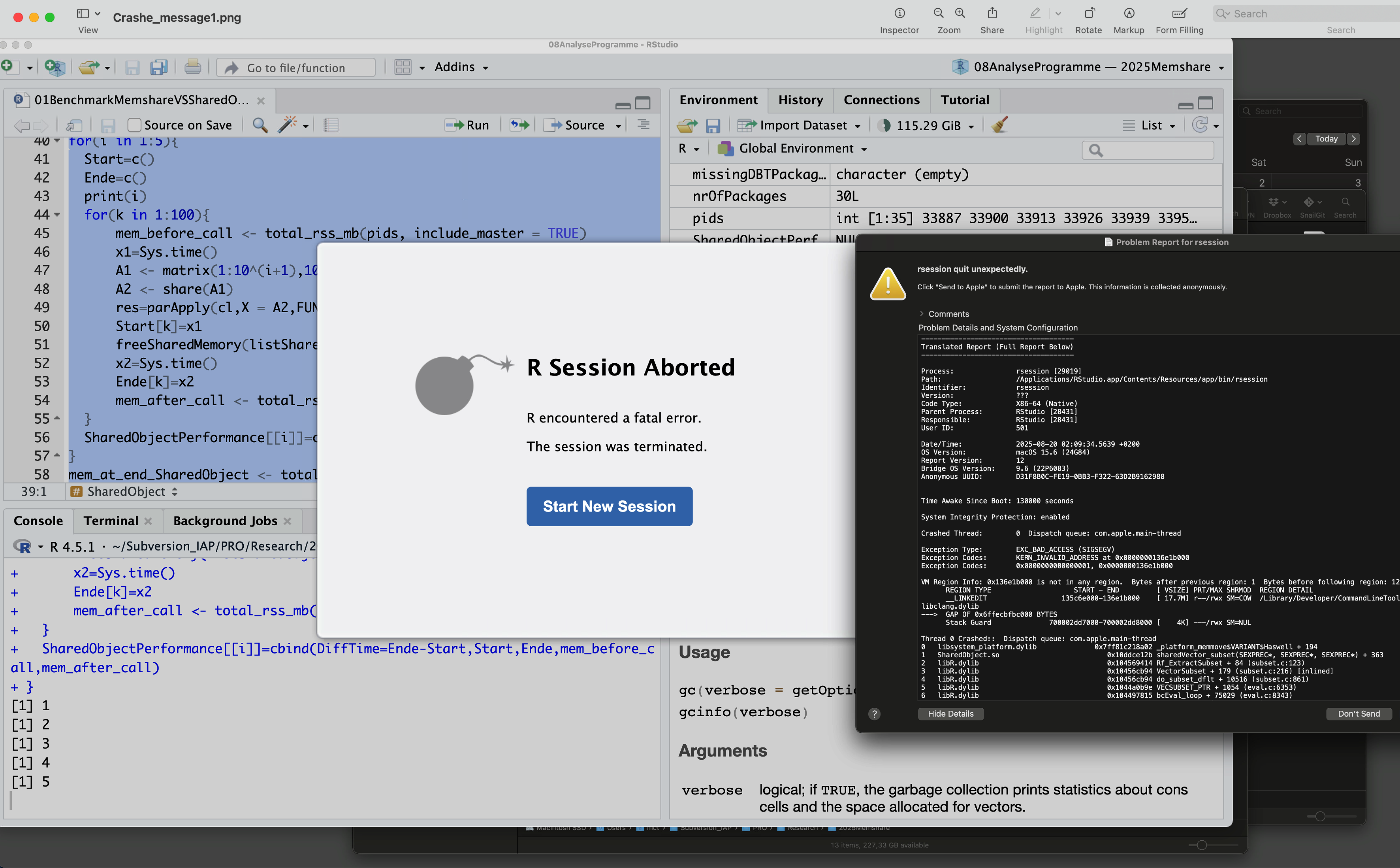First Screenshot of ShareObjects Computation.